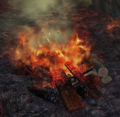 Bonfire (object).jpg