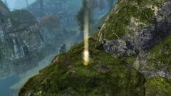 Drizzlewood Coast Insight- Camp Cliffs.jpg