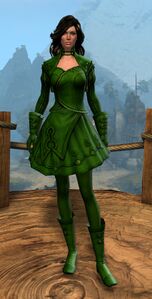 Appearance on light armor.