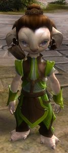 Merchant (WvW armorsmith).jpg