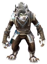 Monk's Outfit