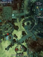 Nessa map.jpg