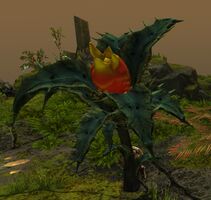 Sloth Plant (full).jpg