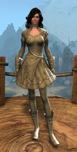 Appearance on light armor.