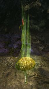 Toxic Mushroom.jpg