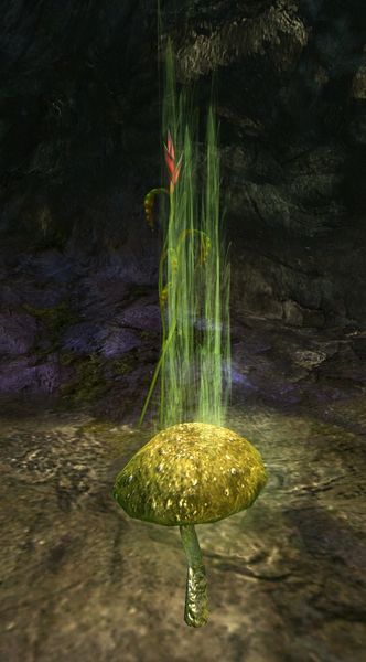 File:Toxic Mushroom.jpg