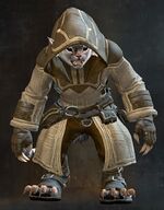 Traveler's Outfit