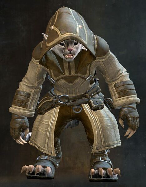 File:Traveler's Outfit charr female front.jpg