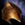 True Sight Shoulders.png