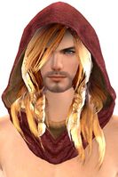 Vagabond's Hood.jpg