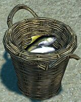 Basket of Smelly Fish.jpg