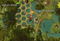 Juvenile Frog location.jpg