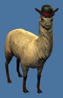 Mini Elegant Llama.jpg