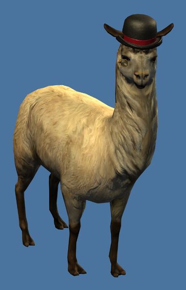 File:Mini Elegant Llama.jpg