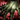 Nightmare Court Gloves.png