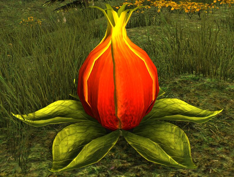 File:Oakheart Seed.jpg