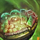 Offering for Reunion with Nature.png
