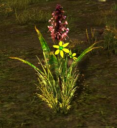 Poison Plant.jpg