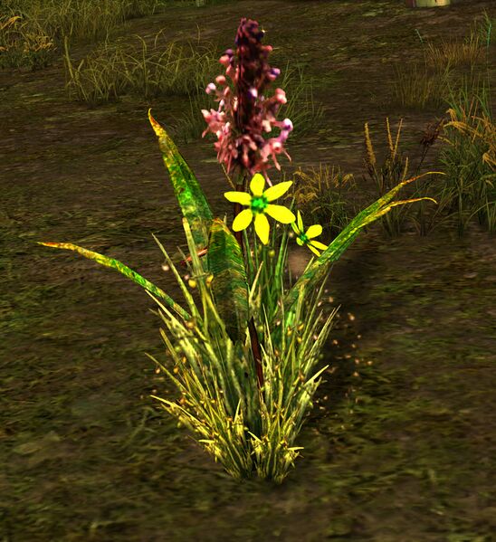 File:Poison Plant.jpg
