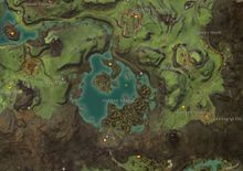 Secrets in the Swamp.jpg