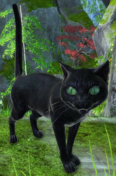 File:Sissel.jpg
