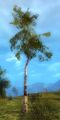 Thumbnail for version as of 20:58, 14 August 2021