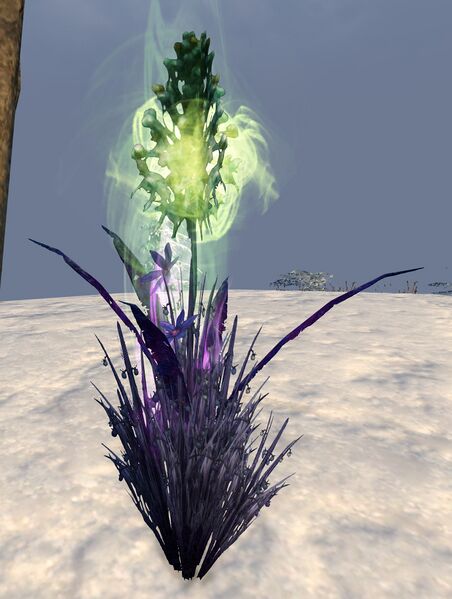 File:Healing Seed.jpg