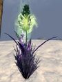 Thumbnail for version as of 05:08, 28 July 2024