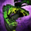 Heart of Thorns Glider.png