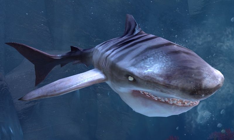 File:Ice Shark.jpg