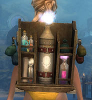 Intricate Artificer's Backpack.jpg