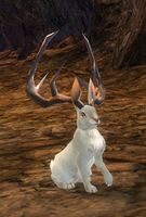 Jackalope Tonic effect.jpg
