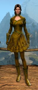 Appearance on light armor.