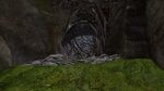 Nightmare Court Gate.jpg