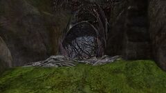 Nightmare Court Gate.jpg