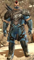 Priory norn male medium 1.jpg