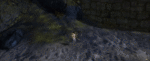 QB Trail 7.gif