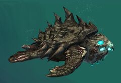 Risen Sea Turtle.jpg