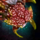 Spotted Orchid.png