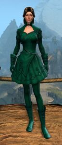 Appearance on light armor.