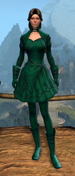 File:Spruce Dye (light armor).jpg