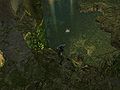 8. Drop below to face off with a Veteran Jungle Troll guarding the chest.