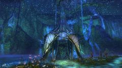 The House of Malomedies.jpg