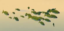 Underwater Meandering Fish.jpg