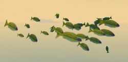 Underwater Meandering Fish.jpg