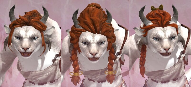 File:Charr female hair styles 2.jpg