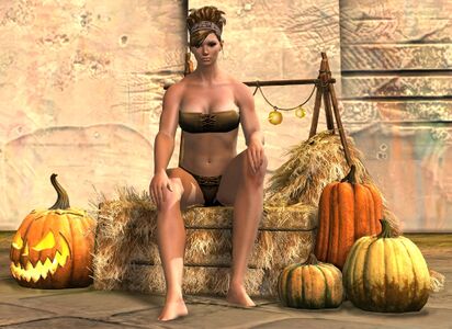 Festive Harvest Chair norn female.jpg
