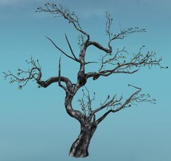 Grenth's Palm.jpg