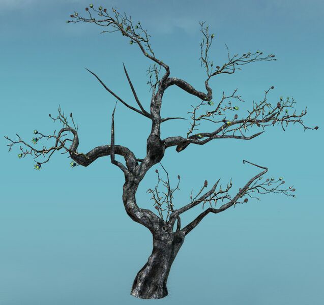 File:Grenth's Palm.jpg