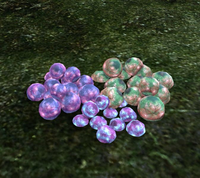 File:Hylek Eggs.jpg